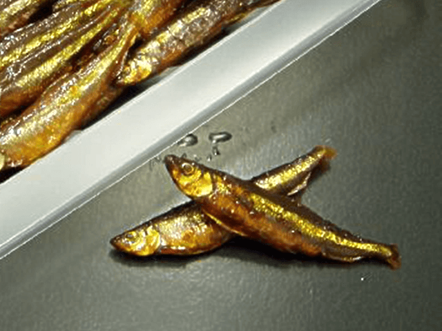 わかさぎ甘露煮