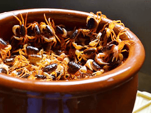 蟹醤(かにびしお)